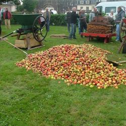 cidre  pressé par les ânes