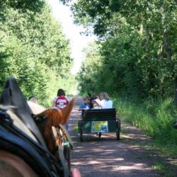 Rallyes à cheval et en ânes
