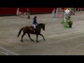 A VENDRE cheval atlas  de Cavilly